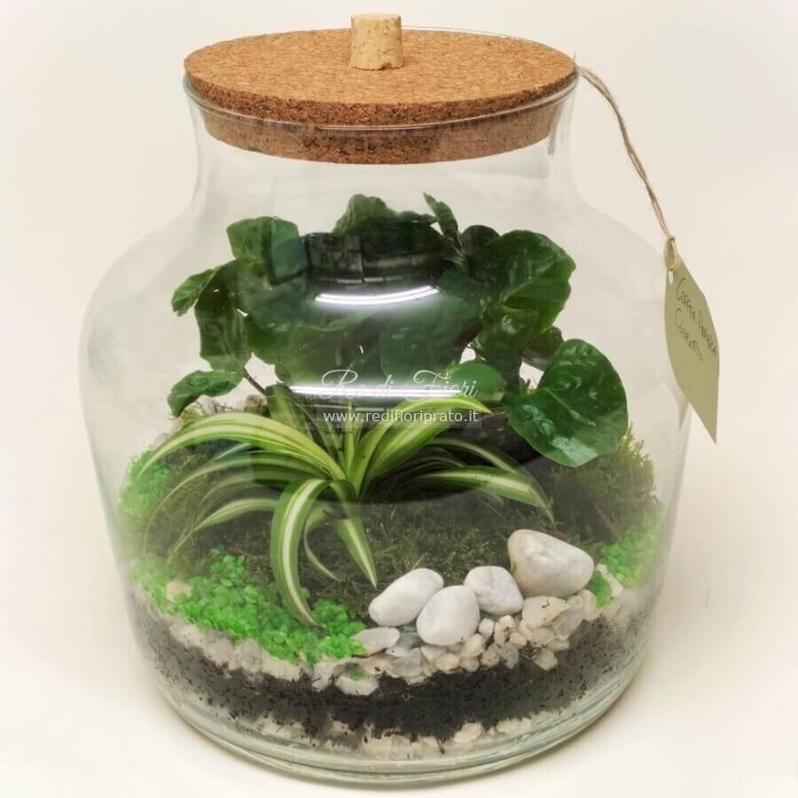 Terrarium A002