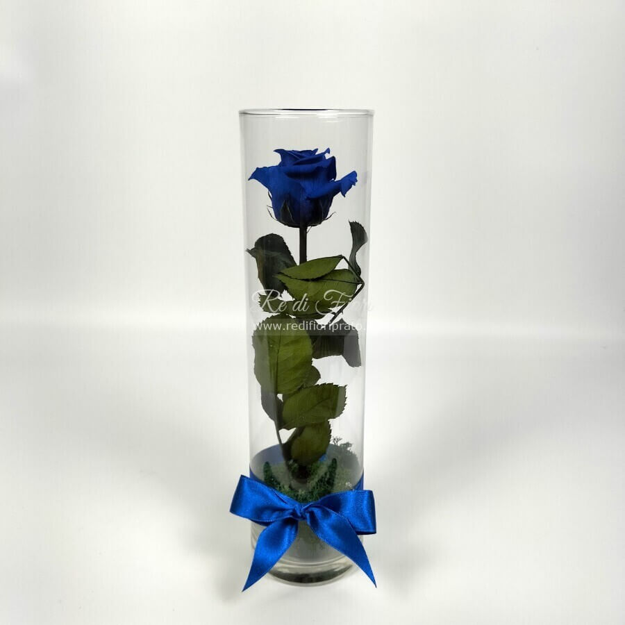 Rosa stabilizzata blu - vaso cilindro