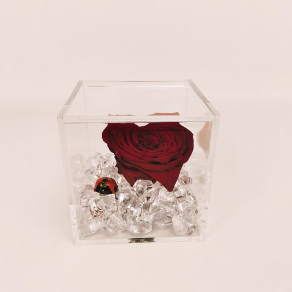 Rosa-cuore - cubo plexi