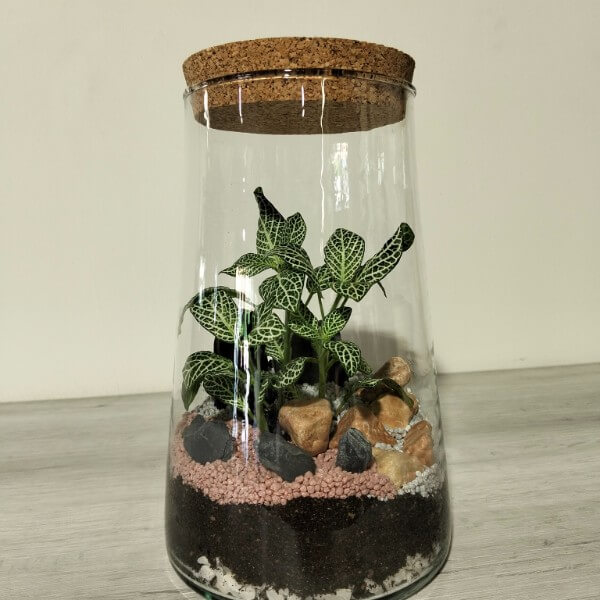 Terrario serie BA - M3 Terrario serie BA - M3