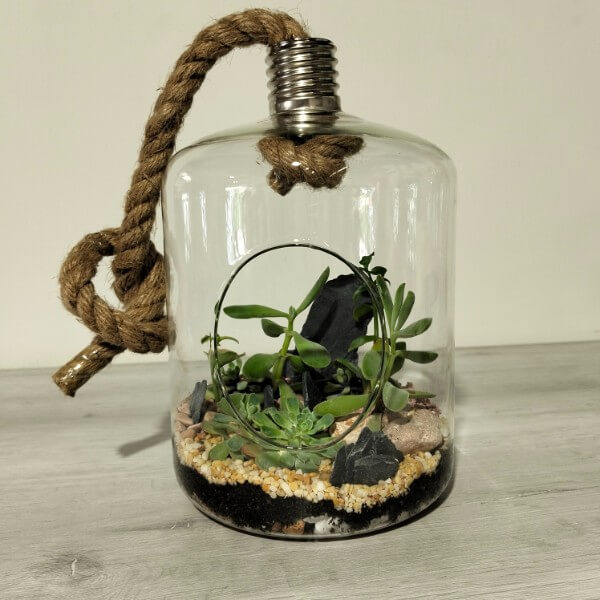 Terrario serie LA Terrario serie LA